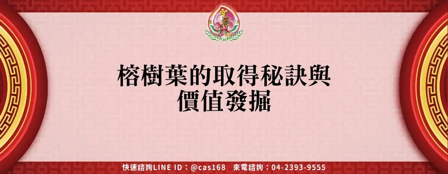 Read more about the article 榕樹葉的取得秘訣與價值發掘
