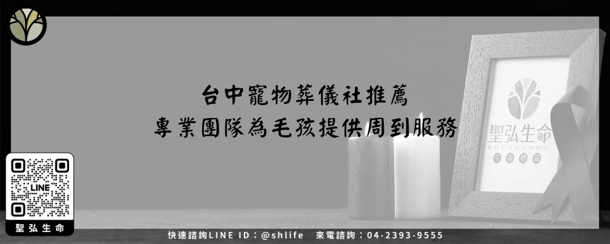 Read more about the article 台中寵物葬儀社推薦－專業團隊為毛孩提供周到服務
