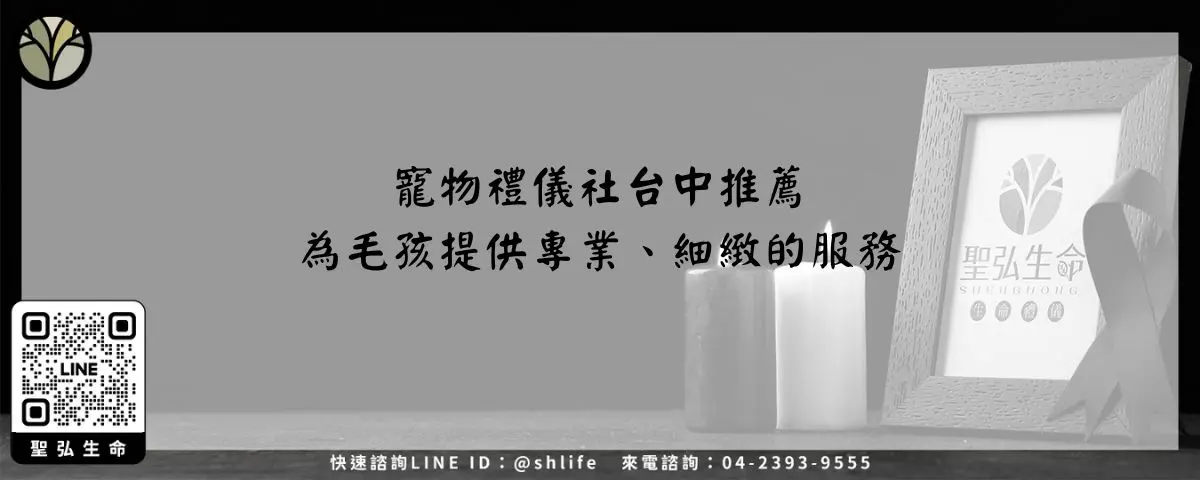 Read more about the article 寵物禮儀社台中推薦－為毛孩提供專業、細緻的服務