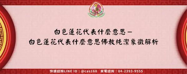 白色蓮花代表什麼意思－白色蓮花代表什麼意思佛教純潔象徵解析