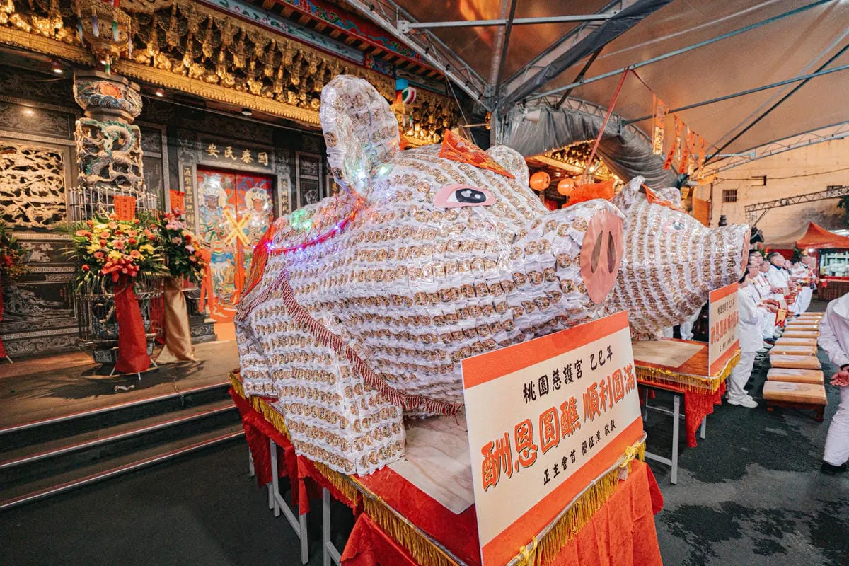 桃園慈護宮豬羊 06